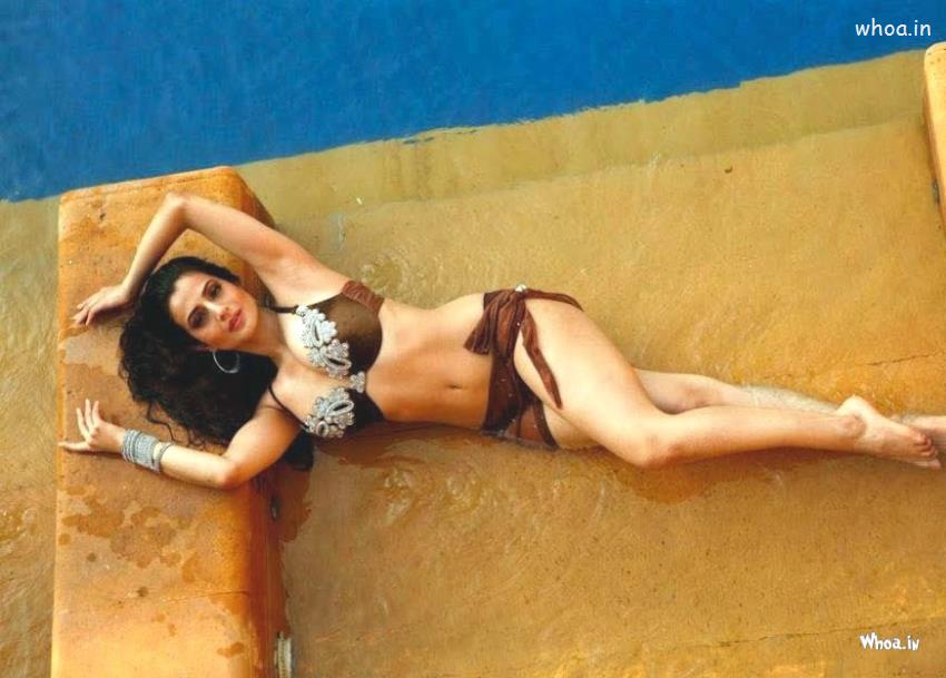 amisha-patel-in-bikini-hot-wallpapers