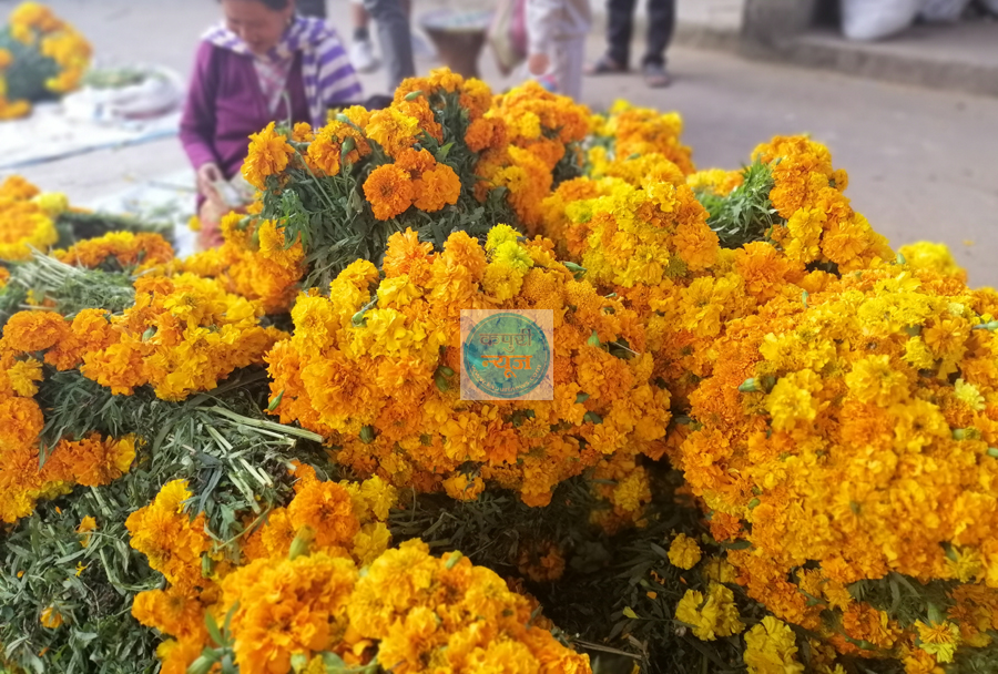 tihar-flower4