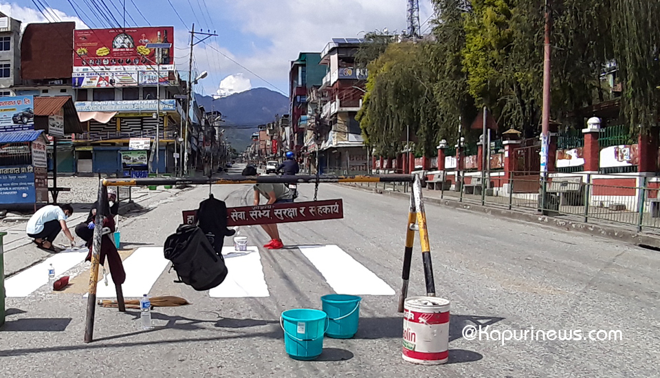 Zebra-crossing-3