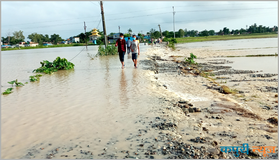 Sunsari-ma-Duban-ashar-19-7