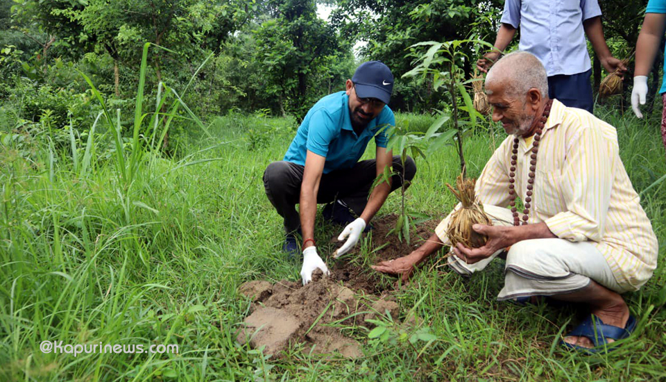 mahuli-plantation-2