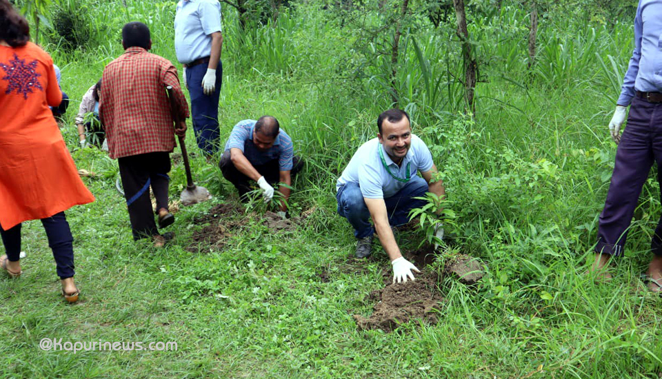 mahuli-plantation-3