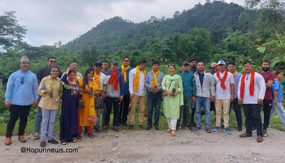 nsu-tree-plantation