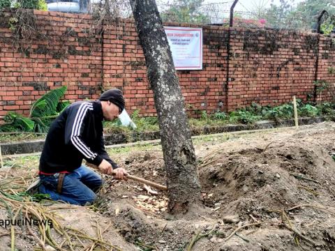 वीपीको ग्रीनबेल्टमा तरकारी बजारको सेड निर्माणका लागि रुख काट्न प्रहरीद्वारा रोकियो 