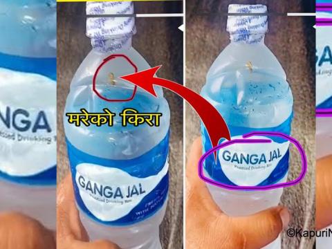 शिलप्याक पिउने पानीको ब्राण्ड 'गंगा जल' वाटर बोतलमा बाहिरबाटै देखिने फोहोरको किरा