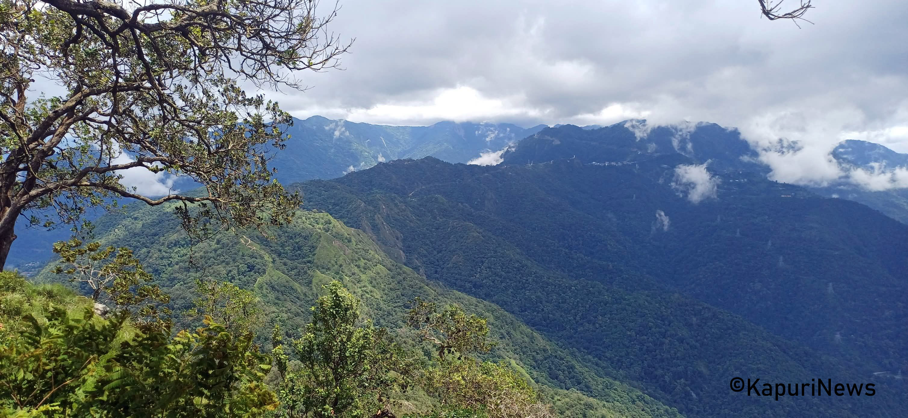 sulikot 2
