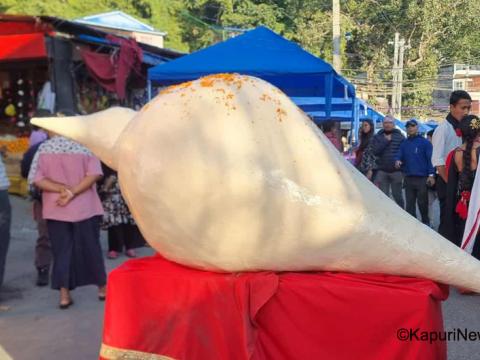 ५ फिटको यमरी आकर्षणको केन्द्र,नेवार संस्कृतिको पहिचान र संरक्षणमा जोड ५ फिटको यमरी आकर्षणको केन्द्र,नेवार संस्कृतिको पहिचान र संरक्षणमा जोड