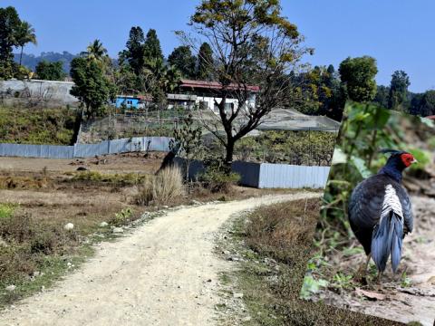 कृषि उत्पादनसँगै पर्यटकीय आकर्षण बन्दै गएको छ केराबारीको ‘कालिज रेष्टुरेन्ट’