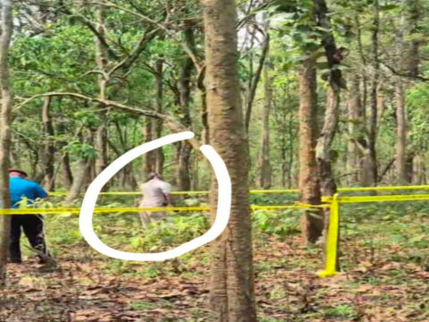 विराटनगरका दधिराम घिमिरे चारकोशे जङ्गलमा झुन्डिएको मृत अवस्थामा 